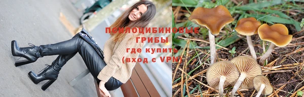 мяу мяу кристалл Переславль-Залесский