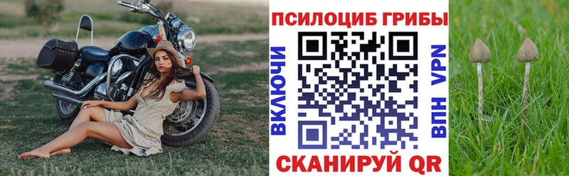 Псилоцибиновые грибы Magic Shrooms  Нижний Тагил 