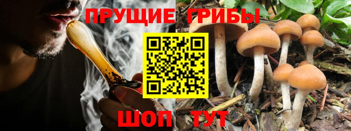 как найти наркотики  Псилоцибиновые грибы MAGIC MUSHROOMS  Вход с VPN  Нижний Тагил 